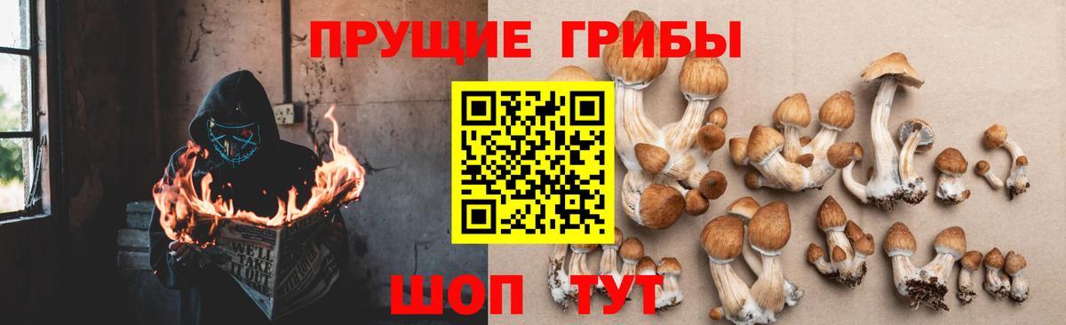 Ульяновск  Галлюциногенные грибы ЛСД  Вход с VPN  Галлюциногенные грибы Psilocybine cubensis 